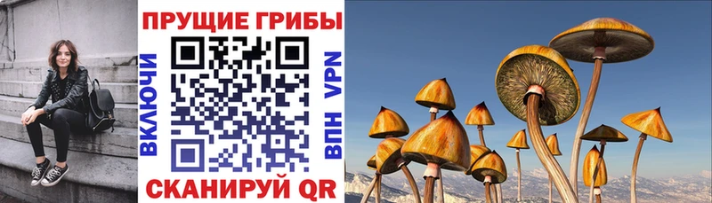Галлюциногенные грибы мицелий  цена наркотик  блэк спрут ссылки  Безенчук 
